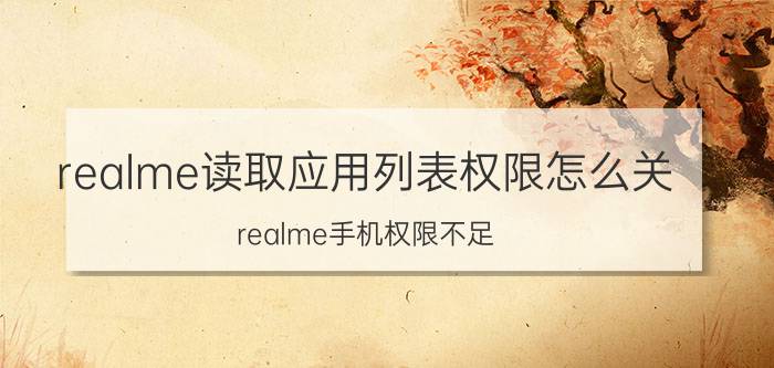 realme读取应用列表权限怎么关 realme手机权限不足？